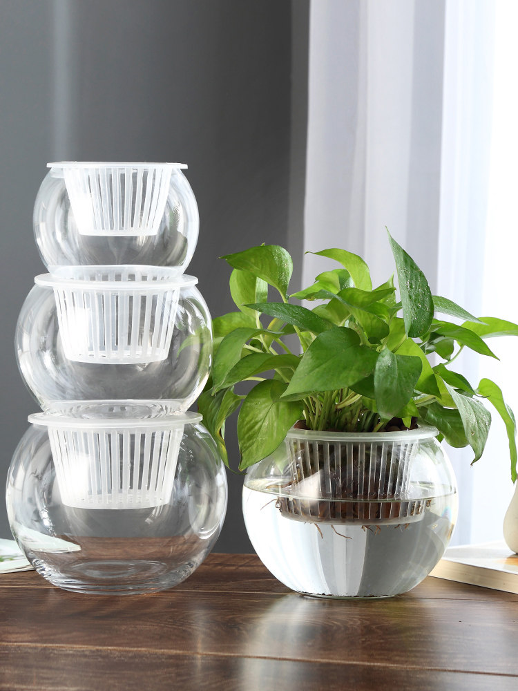 Propagation Station Vase - Vase en verre hydroponique, vase à