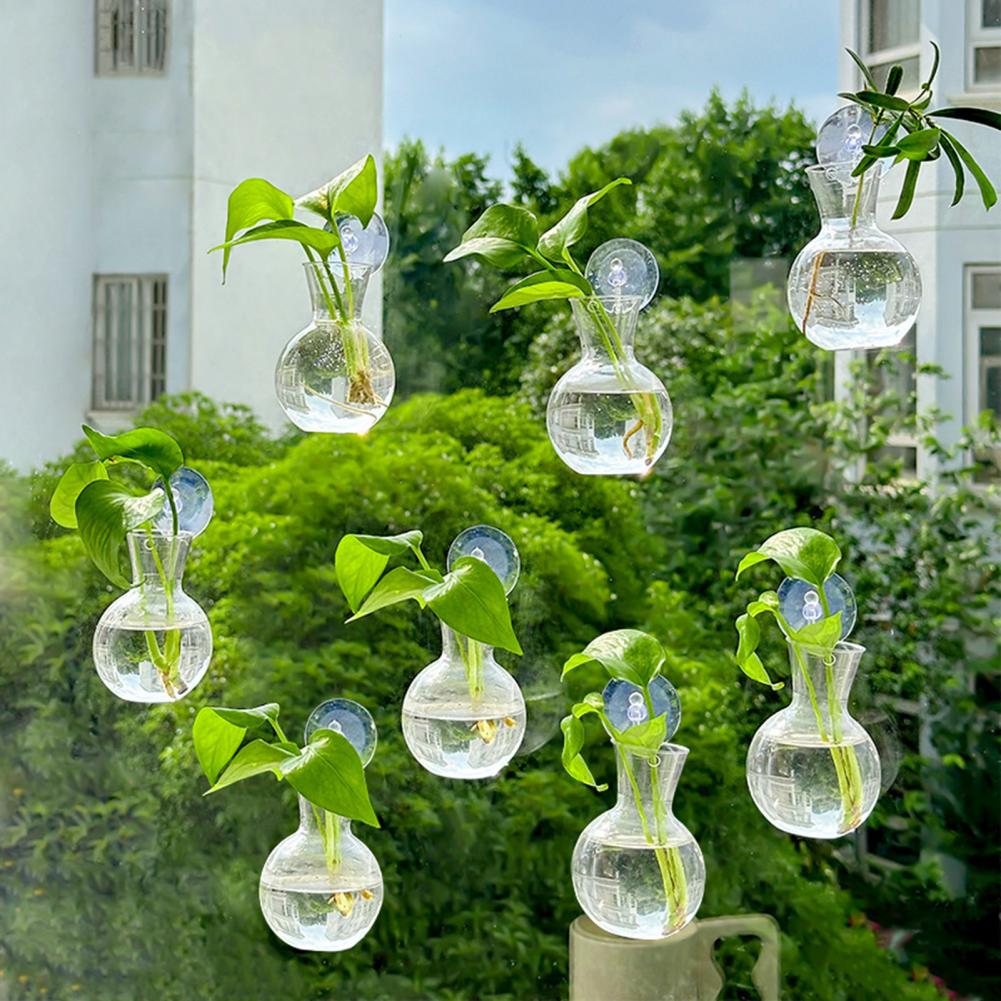 Lot de 1/2/3/4/6/8 Bulbes de p - Propagation Station Vase avis et prix